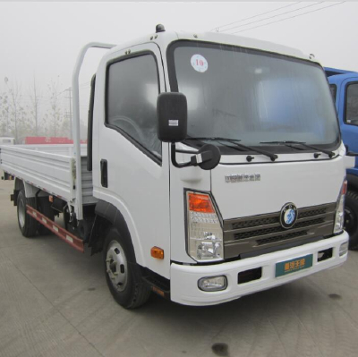Sinotruk CDW Issuzu cargo truck