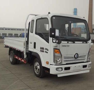 Sinotruk CDW 3.5T  cargo truck