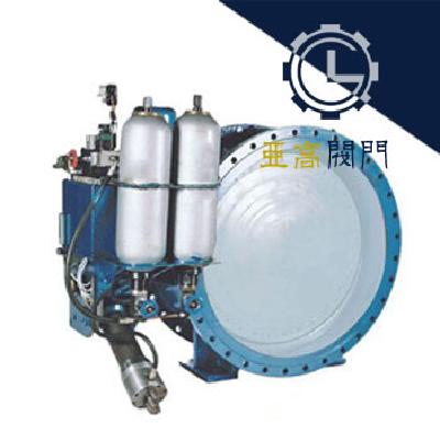 HD741X accumulator type hydraulic control check valve