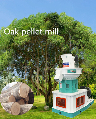 Customized ring die oak biomass pellet mill---Kingoro