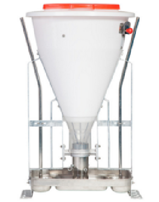 Automatic Dry Wet Feeder for Pig