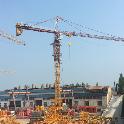 DAHNA  6t/8t QTZ80(5613) Tower Crane for sale