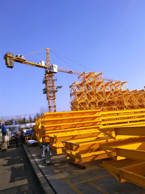 Top Kit Tower Crane QTZ63(5013)