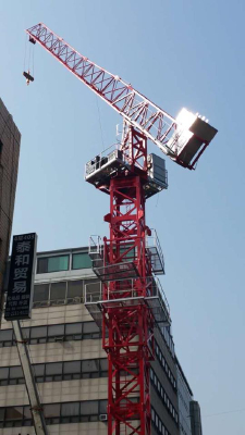 D110(4015) luffing jib tower crane
