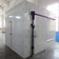 Fish cold storage room