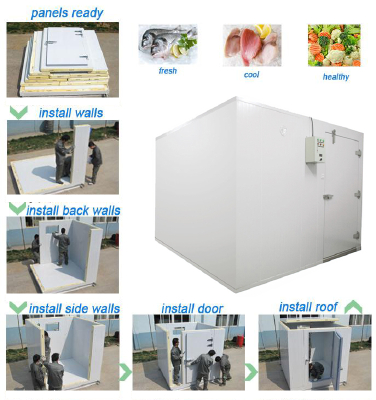 Cold storage room for frozen chicken