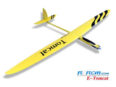 E-Tomcat 2.6m wingspan glider of rcrcm