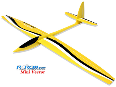 Minivec-1.69m aerobatic slope glider