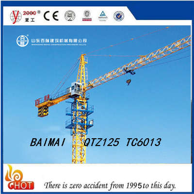 Tower Crane QTZ100(6013)