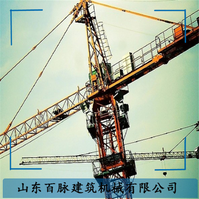 Tower crane QTZ40-QTZ250 Professional factory production of tower crane