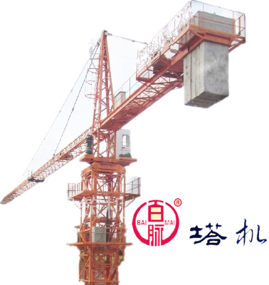 top kit tower crane mini tower crane low price QTZ315 crane