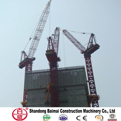 Luffing jib tower crane manufacturer professional recommendation tower crane 10ton 5030-QTD160 for sale