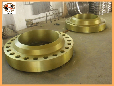 Forged precision A105N stainless steel welding neck flange