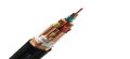 Frequency Converter Cable (Q/0100HLT009)