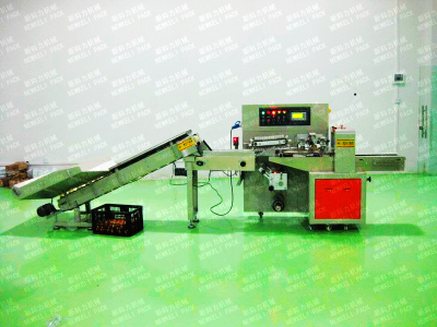 Full automatic fruit packing machine