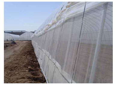 Greenhouse insect nets 575