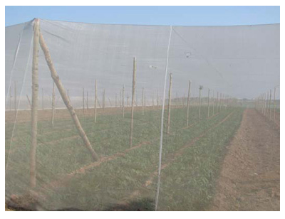 Greenhouse insect nets 576