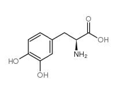 3,4-dihydroxy-L-phenylalanine