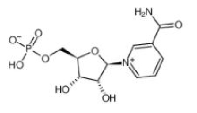 Beta-Nicotinamide Mononucleotide