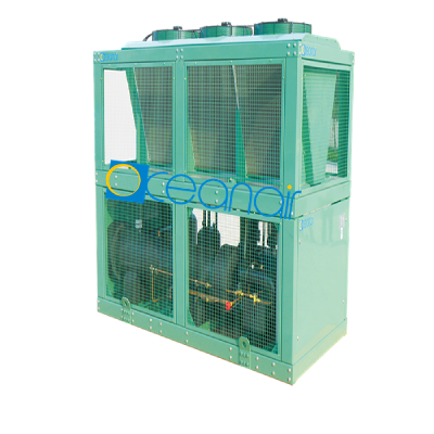 Oceanair Low-temperature Air-cooled Heat Pump Unit Made in China