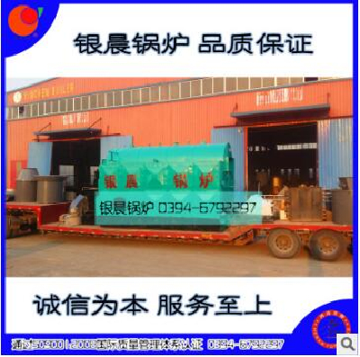 DZL6-1.25 - T biomass steam boiler