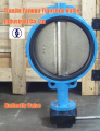 Wafer Butterfly Valve