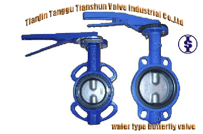 Wafer Butterfly Valve without pin