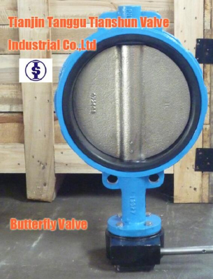 Wafer Butterfly Valve