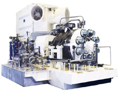 Marine pump