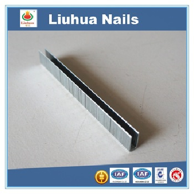 Good quality all kinds of Pneumatic staples sofa staple gun nail withlow price