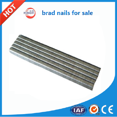 Hot selling galvanized nails for nail gun,staples used for sofa,gunnails price