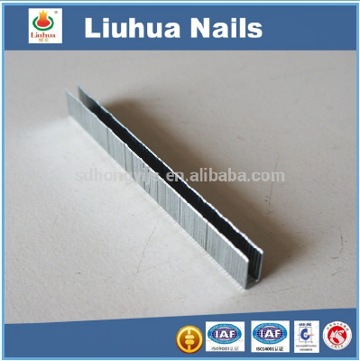 Staple nails, type N, K, J, pneumatic gun nails applied in furniture,fitment on sale