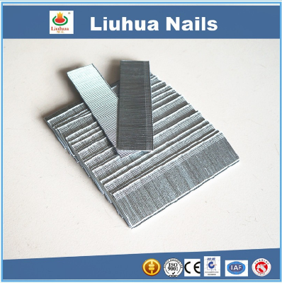 Promotion type T pneumatic gun nails, T15-T50 with good quality