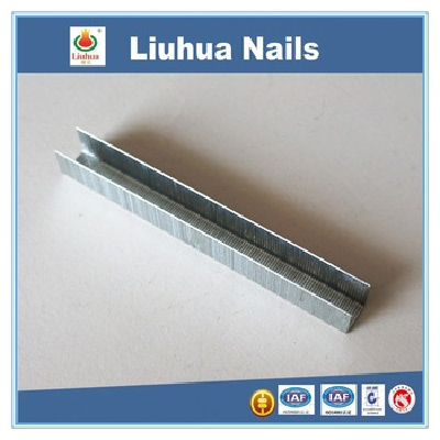 High quality yard nail / type N nail with competitive price