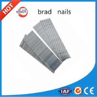 F series 18 GA galvanized decorative brad nails for air nailer