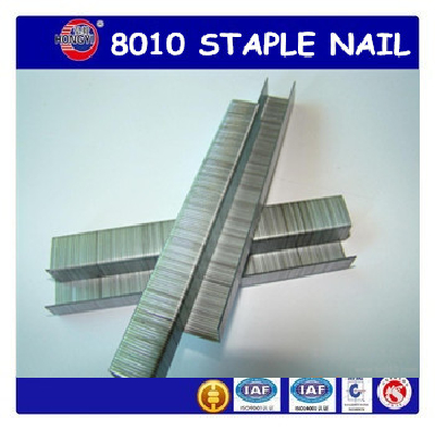 8010 Staple Nail 21GA Pneumatic Gun Nail Sofa Nail Upholstery Nail