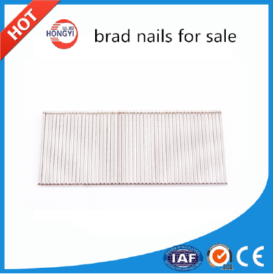 F series 18 GA galvanized decorative brad nails for air nailer