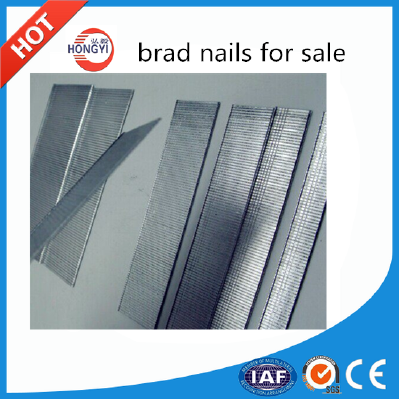 F series 18 GA galvanized decorative brad nails for air nailer