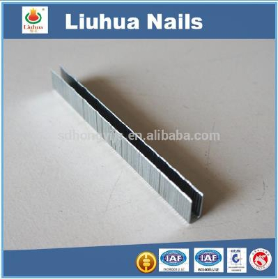 Best price 80 series sofa staple,20 GA staple nails 5000 pcs for wood furniture,staples office furniture desks p