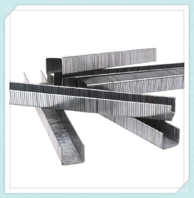 8010 Staple Nail 21GA Upholstery Sofa Nail Pneumatic Nail