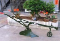 OX PLOUGH