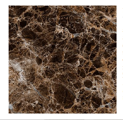 Deep brown network