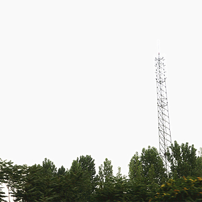 Power Transmission Lighting Arrester,Tubular Tower