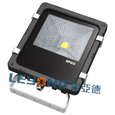 ASA LED FLood Light