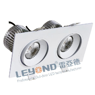 15W*2 Square Down Light D