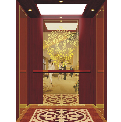 Passenger elevator series