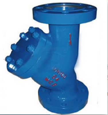 Y type Strainer