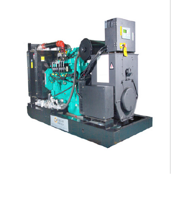 Natural Gas Generator Set/Genset