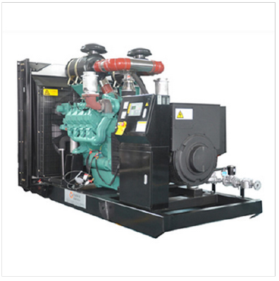 D Series Straw Gas Generator Set