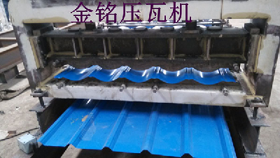 Roofing sheet molding double tile press